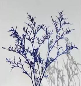 永生花材 ｜ 情人草深蓝