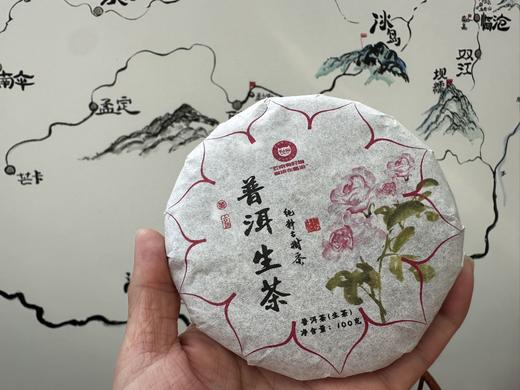 2024端午茶礼·熟普洱茶 商品图5