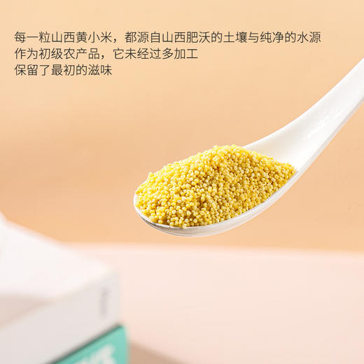 袋鼠小布 山西农家自产黄小米颗颗金黄粒粒饱满  780g/罐 商品图4