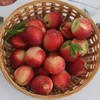 新鲜水果郧阳区油桃5斤  周六发货 商品缩略图4