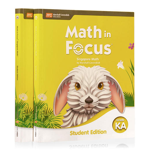 美版新加坡数学  MATH IN FOCUS系列 商品图7