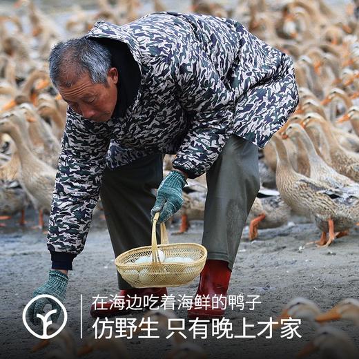 【检测激素抗生素兽残 北海烤海鸭蛋 选用北海正宗当地海鸭蛋 低盐古法草木灰腌制】130°恒温烤制 咸淡适中 蛋黄饱满流油酥沙 -口吃出“蟹黄”香 商品图4