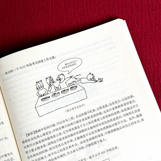 上海新高考一本通 语文 第三版 高考一轮复习 上海高考语文考点 商品图14