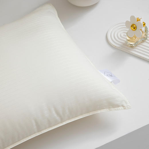 7楼堂皇家纺  馨雅枕 规格48*74  1只 商品图3