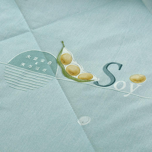 【紫韵家纺】紫韵 大豆蛋白生态被 ZY-BM1665 200*230cm 商品图2