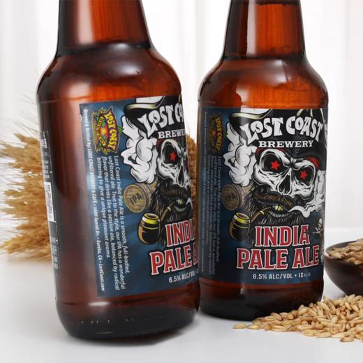 迷失海岸 13°P海盗船长社交IPA啤酒 355ml/瓶 商品图1