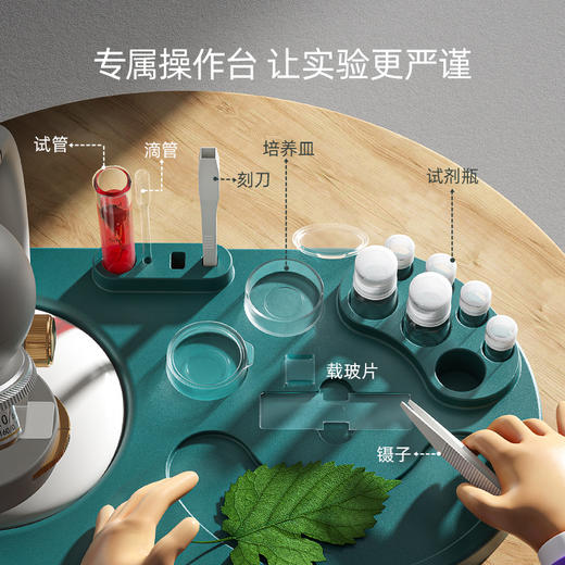 【专业微观探索 解密细胞世界】科学罐头学生显微镜立式1600倍steam实验六一礼物 商品图4