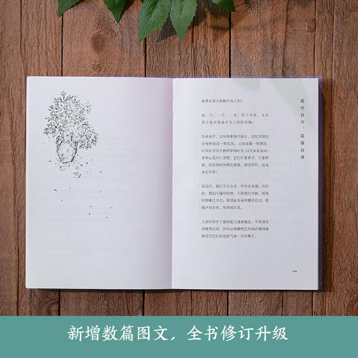 一蔸雨水一蔸禾+蔡皋经典中国绘本·桃花源的故事 商品图5