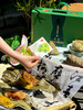 端午粽夏 商品缩略图7