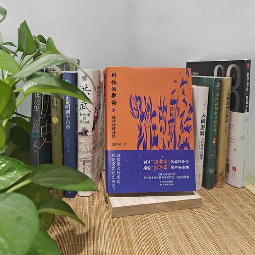 野性的歌谣：流沙河讲诗经 流沙河讲透诗经本质 文学诗歌 商品图4