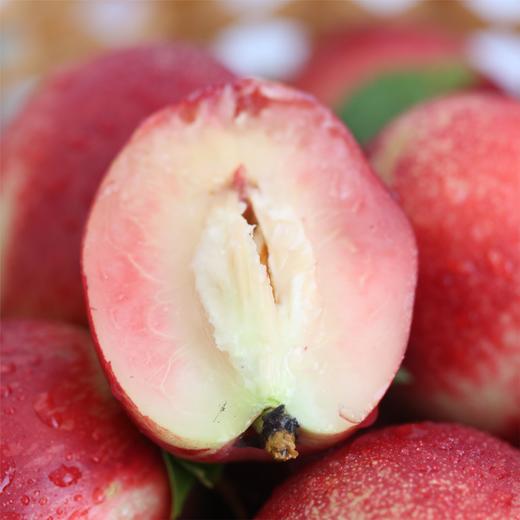 新鲜水果郧阳区油桃5斤  周六发货 商品图3