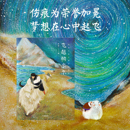 飞越帕米尔(孙施) 商品图3