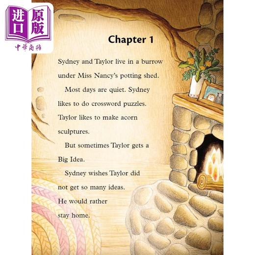 【中商原版】全彩章节书 臭鼬与刺猬发现友谊Sydney and Taylor The Great Friend Expedition英文原版 儿童章节故事书 进口 商品图2