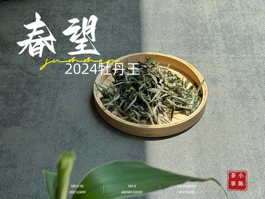 【2024春茶来了】2024牡丹王，白毫奇多，做好仅几天茶汤就生成3个月才有的糯感 商品图0