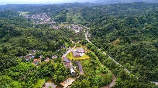 【彭州#398号民宿】单房预定，山里设计感民宿，躲进山里躺平！wsss 商品图2