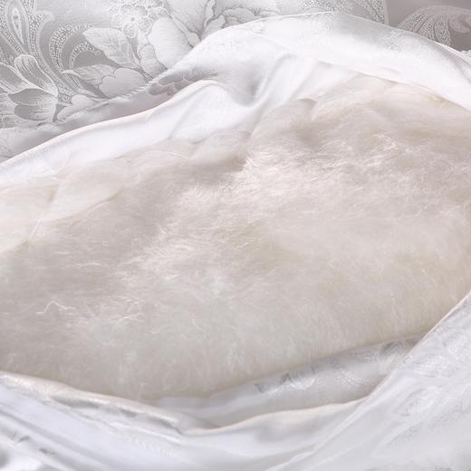 【紫韵家纺】紫韵 丝韵提花蚕丝被 ZY-BM1673 200*230cm 商品图9