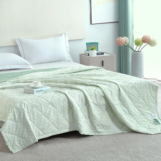 【紫韵家纺】紫韵 艾草芳香抗菌被 ZY-BM1686 180*200cm 商品图2
