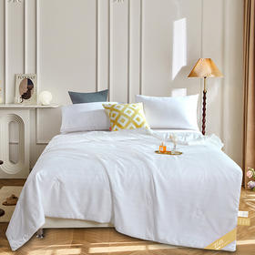 【紫韵家纺】紫韵 锦缎蚕丝被 ZY-BQ1510 200*230cm