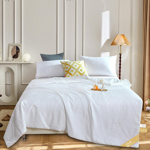 【紫韵家纺】紫韵 锦缎蚕丝被 ZY-BQ1510 200*230cm 商品图0