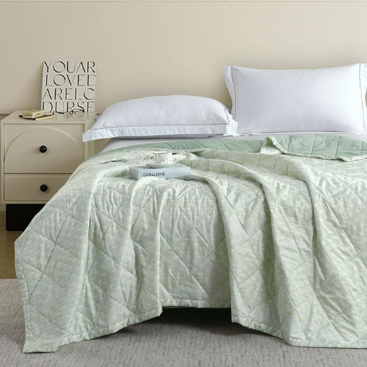 【紫韵家纺】紫韵 艾草芳香抗菌被 ZY-BM1686 180*200cm 商品图5