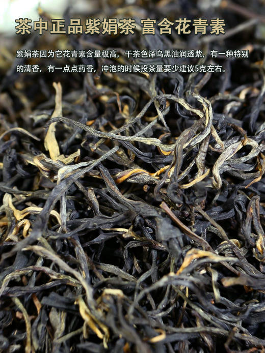 2024年春茶 吉顺号紫鹃春茶散茶叶紫芽紫叶250g/盒 商品图4