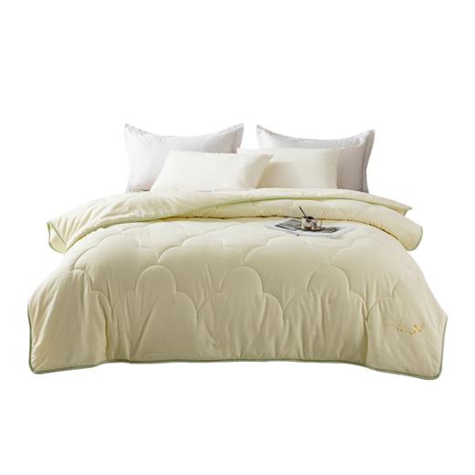 内野   舒馨大豆抗菌被   HU-HY03B03 商品图1