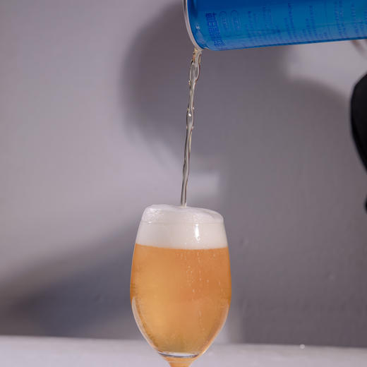 慢工精酿 | 稻威精酿啤酒 易拉罐啤酒饮品 330ml*24罐 1000ml*4罐 商品图7