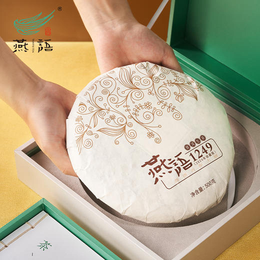 2024燕语1249普洱生茶礼盒500g 商品图6