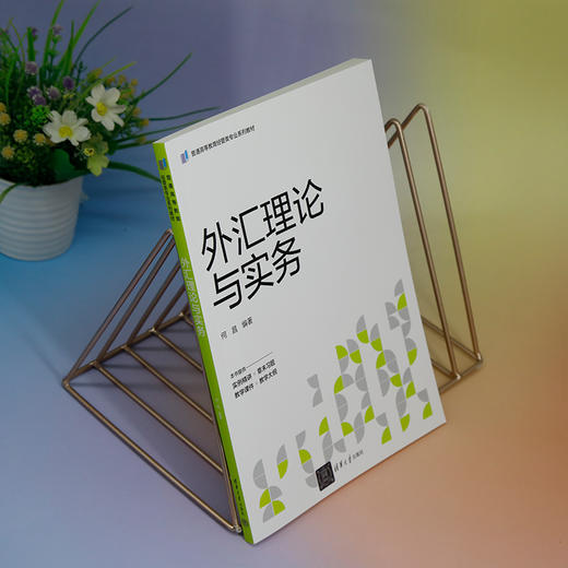 外汇理论与实务 商品图2