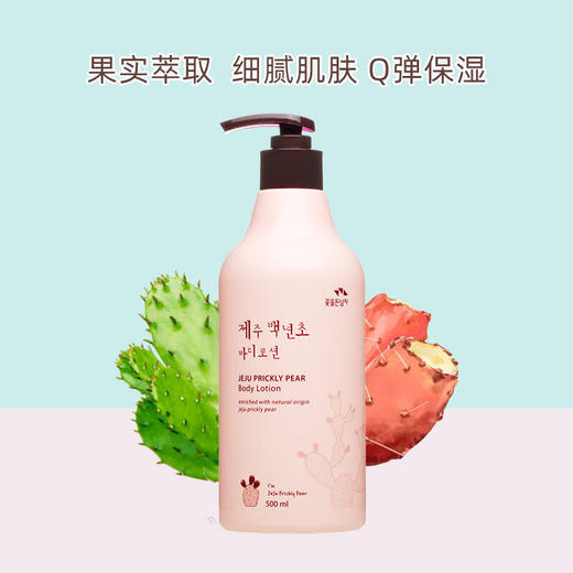 所望（SOMANG）济州岛百年草 商品图2