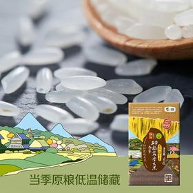初萃五优稻4号五常特别栽培大米500g(真空）