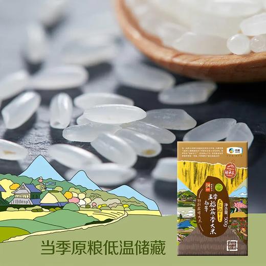 初萃五优稻4号五常特别栽培大米500g(真空） 商品图0