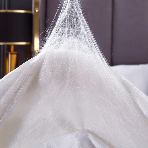 【紫韵家纺】紫韵 莫代尔蚕丝被 白色 200*230 商品图4