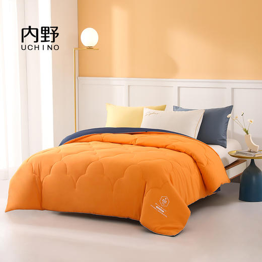 内野   橙漫吸湿发热抗菌被   HU-HY02B38 商品图0
