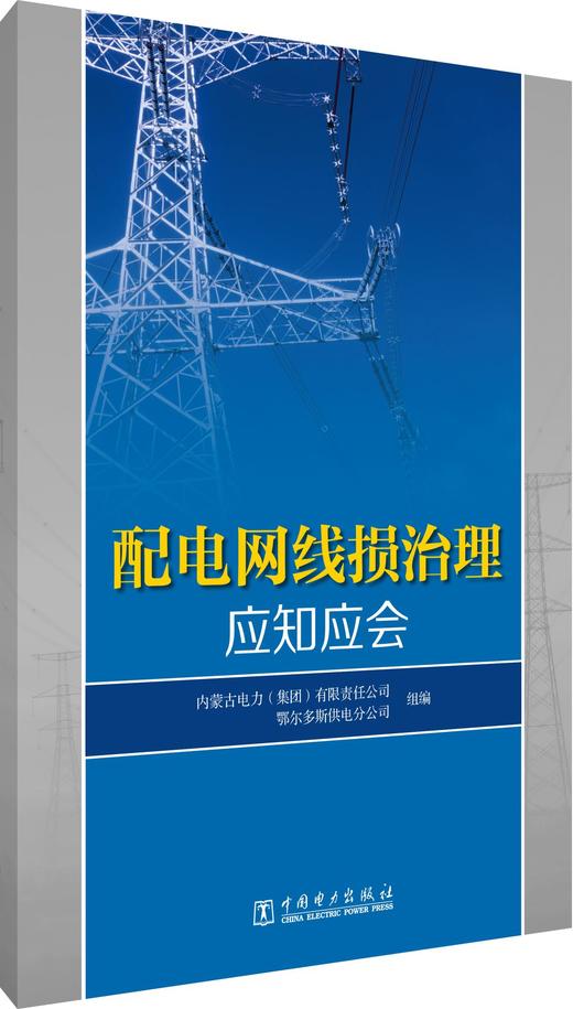 配电网线损治理应知应会 商品图0
