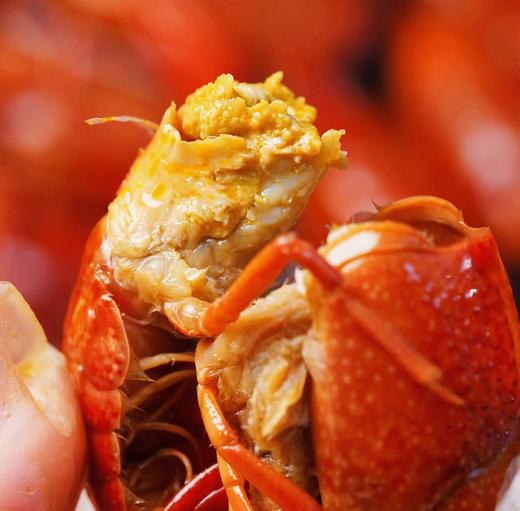 前20份破价2025新虾现做发顺丰花雕熟醉小龙虾 商品图0