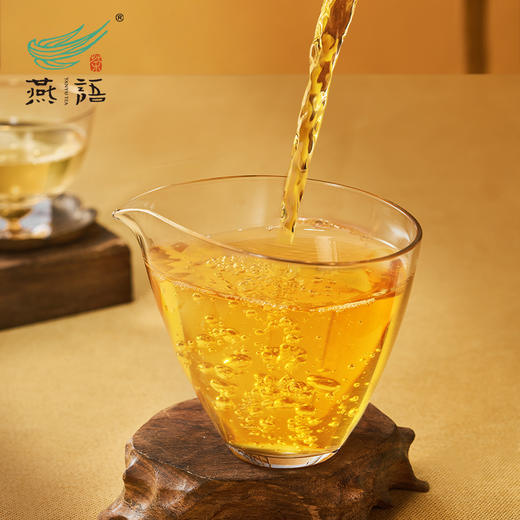 2024燕语1249普洱生茶礼盒500g 商品图4