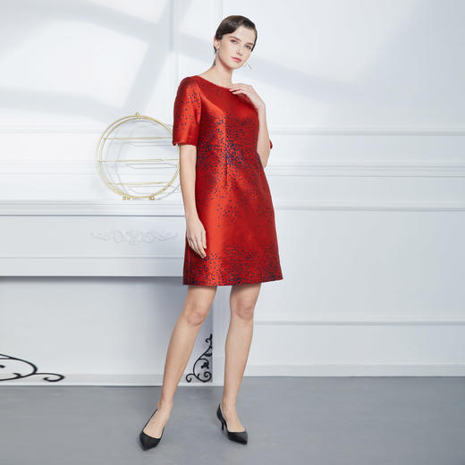 KA8B7斯尔丽瑟俪春秋季新品气质优雅修身版定位提花连衣裙 商品图3