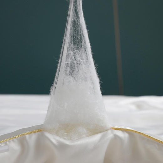 内野   雪柔蚕丝被   HU-HY03B04 商品图2