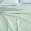 【紫韵家纺】紫韵 艾草芳香抗菌被 ZY-BM1686 180*200cm 商品缩略图1