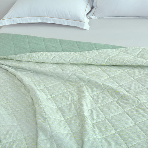 【紫韵家纺】紫韵 艾草芳香抗菌被 ZY-BM1686 180*200cm 商品图1