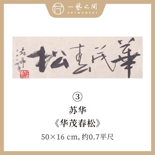 （一）苏华书法原作 每张尺寸50x16cm横幅 四字吉语禅意好内容《大道不孤》《山高水长》《华茂春松》等 手写手书纸本宣纸 现成作品精选呈现 雅致值得收藏 【限量特供 现货包邮】 商品图2