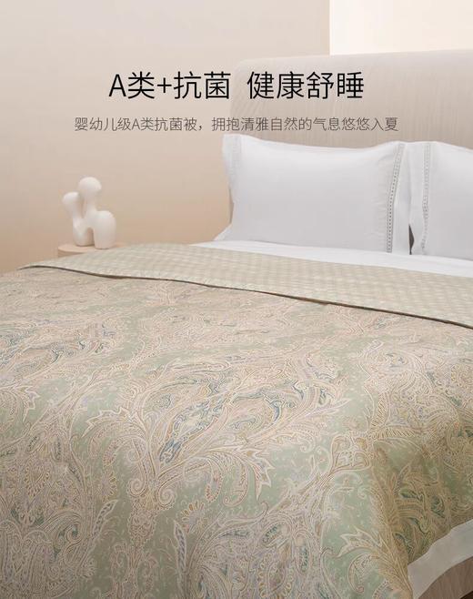 ROYALCOVER/罗卡芙   滑爽双面天丝可水洗新雪丽夏被 奥菲庄园 商品图1