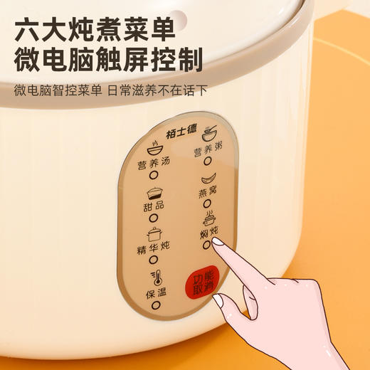 栢士德 微电脑隔水电炖锅BSD-WG108 商品图3