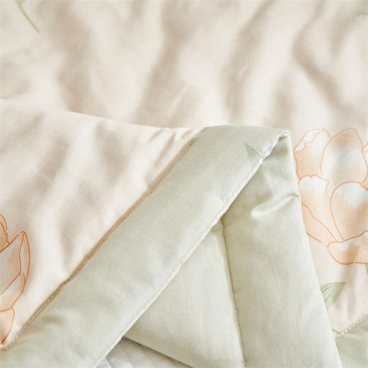 【新疆全棉空调被】夏天夏凉被纯棉被子被薄款棉被芯可机洗夏被 商品图2