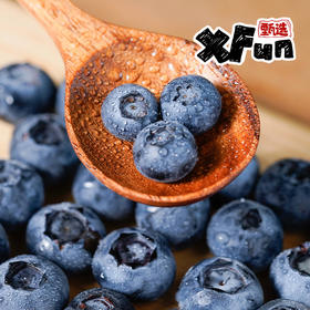 【云南】高原山地生态蓝莓