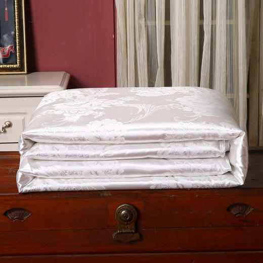 【紫韵家纺】紫韵 丝韵提花蚕丝被 ZY-BM1673 200*230cm 商品图1