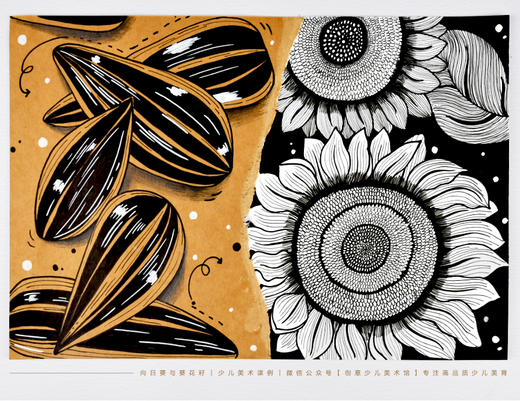 《线条的魅力：向日葵与葵花籽的艺术之旅》夏天/夏季/线描/自瓜子/动发货：下单后，点击手机短信中收到的链接，即可获取文件下载的链接；如有任何问题，可添加客服微信hm33268获得帮助。 商品图1