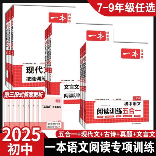 2025版一本初中语文第12次修订版 阅读训练五合一现代文阅读技能训练100篇文言文+古诗训练100篇真题阅读 商品图0