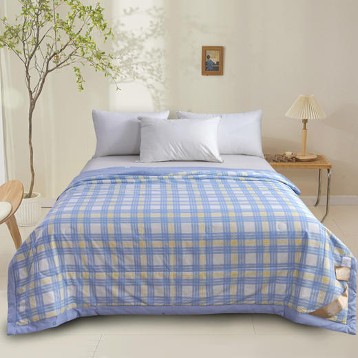 【紫韵家纺】紫韵 优享全棉抑菌被 ZY-BM1676 200*230cm 商品图0